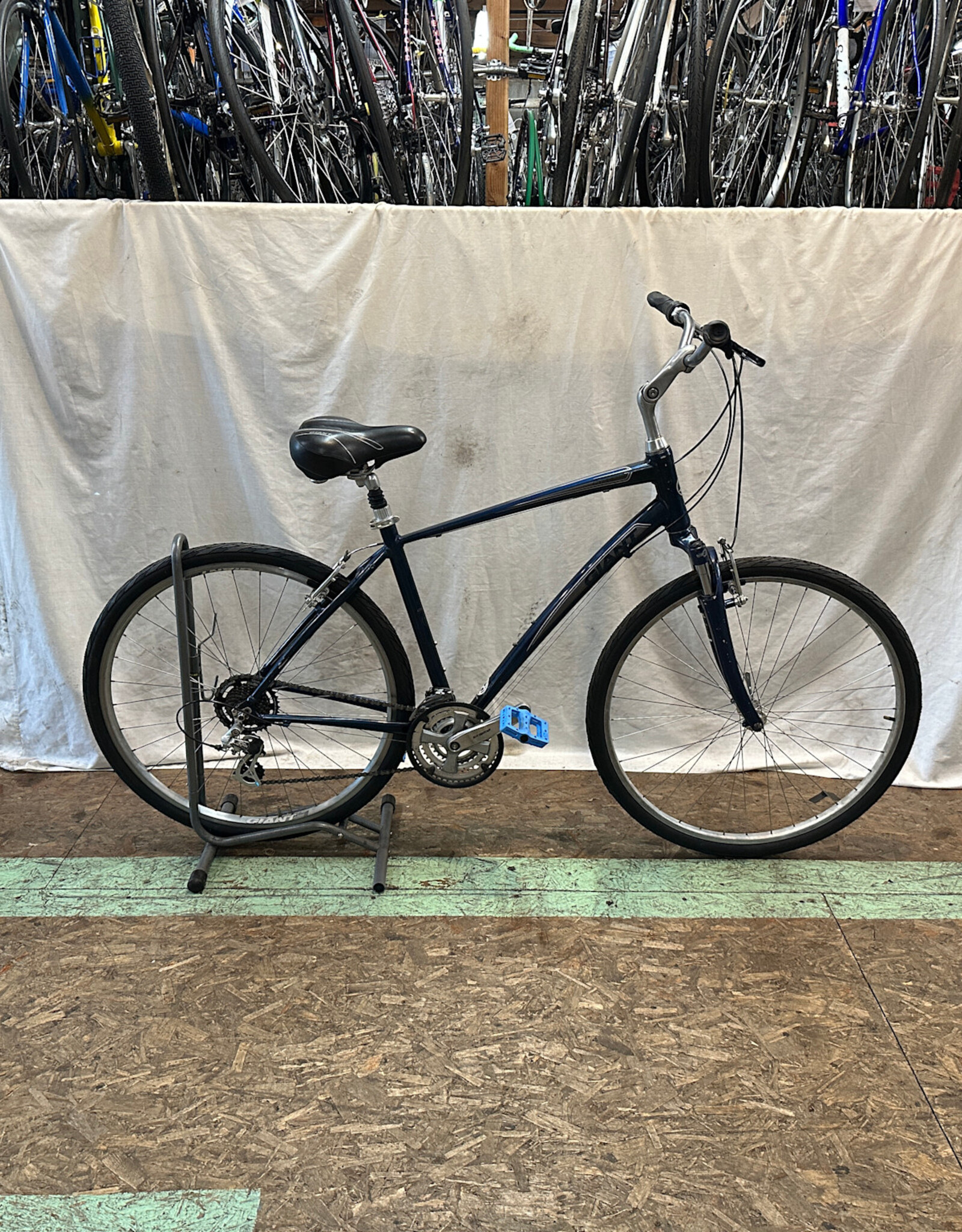 20" Giant Cypress (0827 A2U)