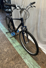 20" Giant Cypress (0827 A2U)