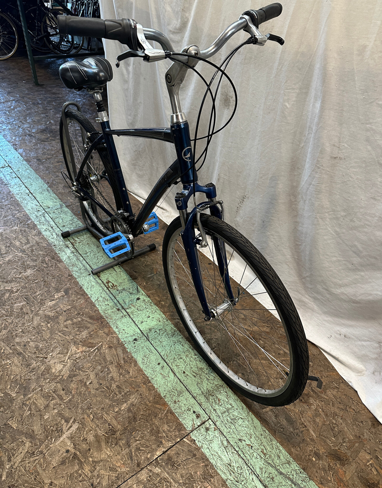 20" Giant Cypress (0827 E1L)