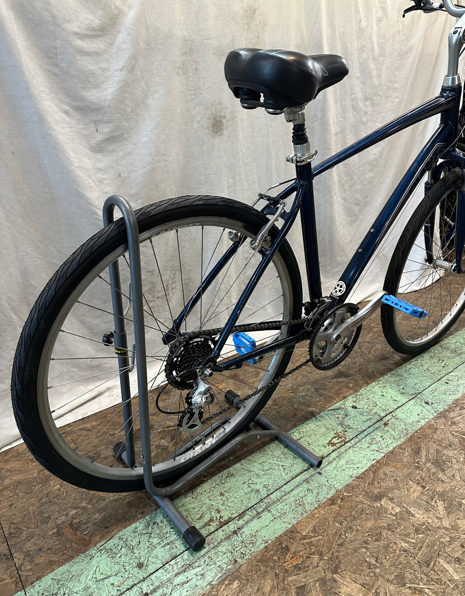 20" Giant Cypress (0827 A2U)