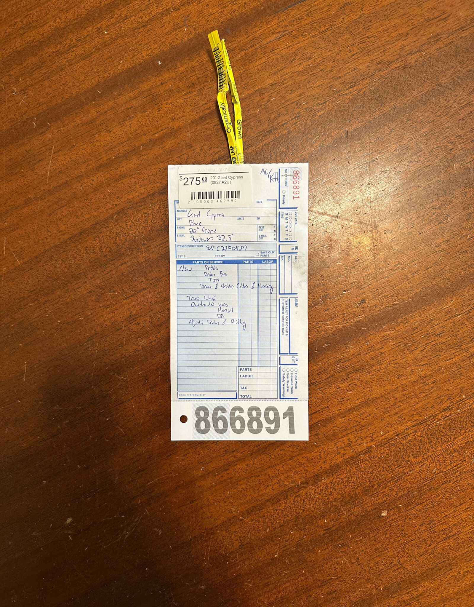 20" Giant Cypress (0827 E1L)