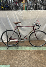 57cm Schwinn World (9581 J1U)