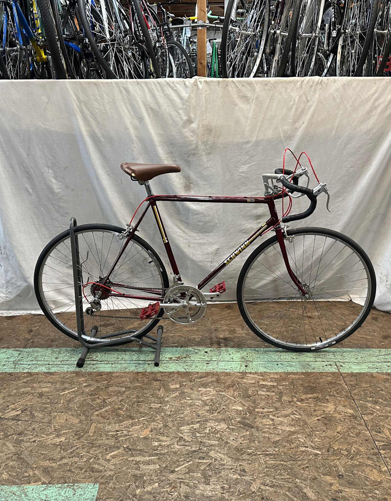 57cm Schwinn World (9581 J1U)