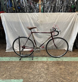 57cm Schwinn World (9581 J1U)