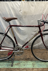 57cm Schwinn World (9581 J1U)