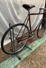 57cm Schwinn World (9581 J1U)