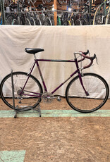 62cm Nashbar 6000 Tour (8253 C3U)