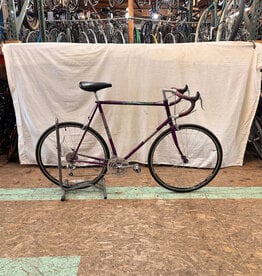 62cm Nashbar 6000 Tour (8253 C3U)