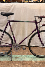 62cm Nashbar 6000 Tour (8253 C3U)