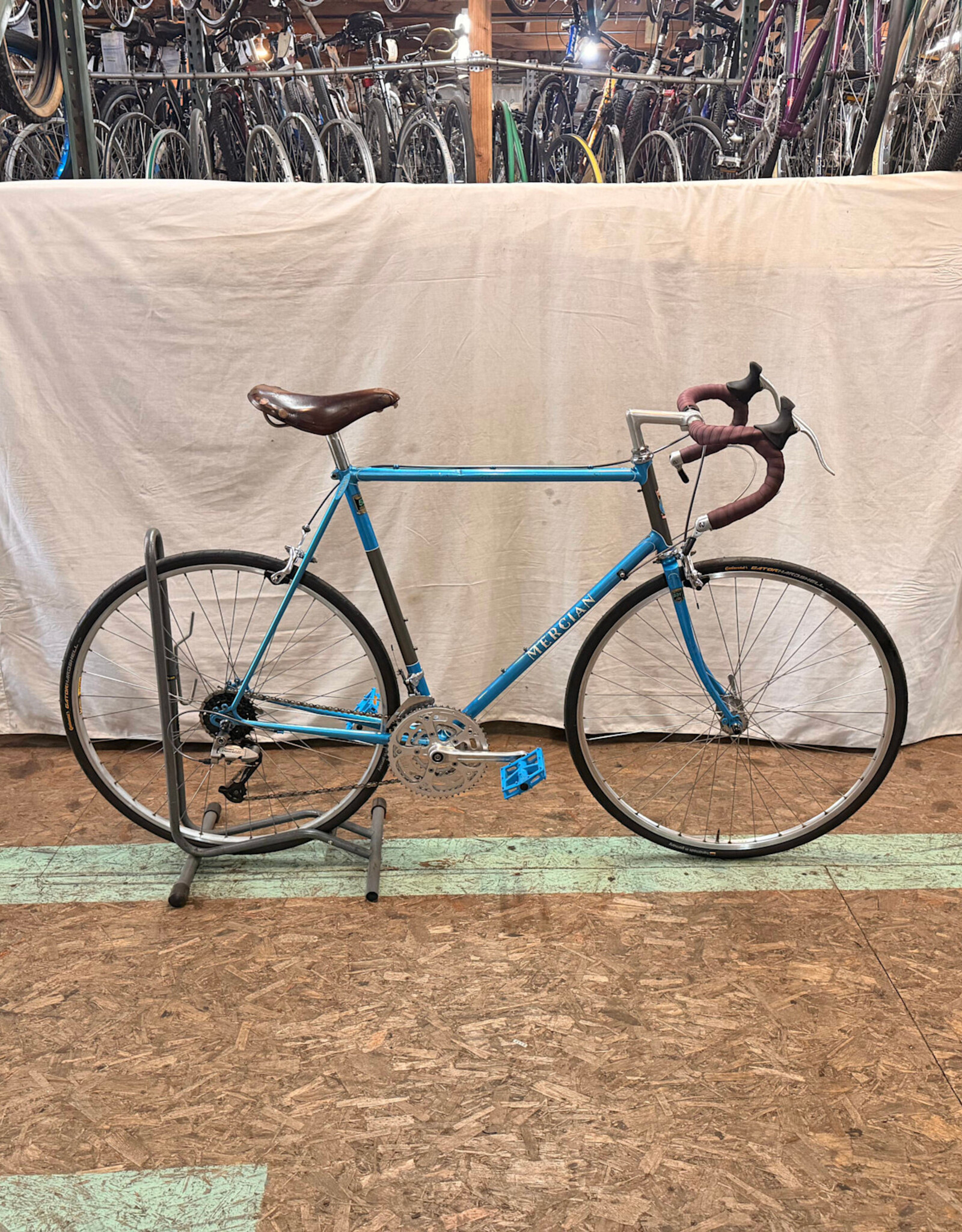 59cm Mercian Road (5386 C3U)