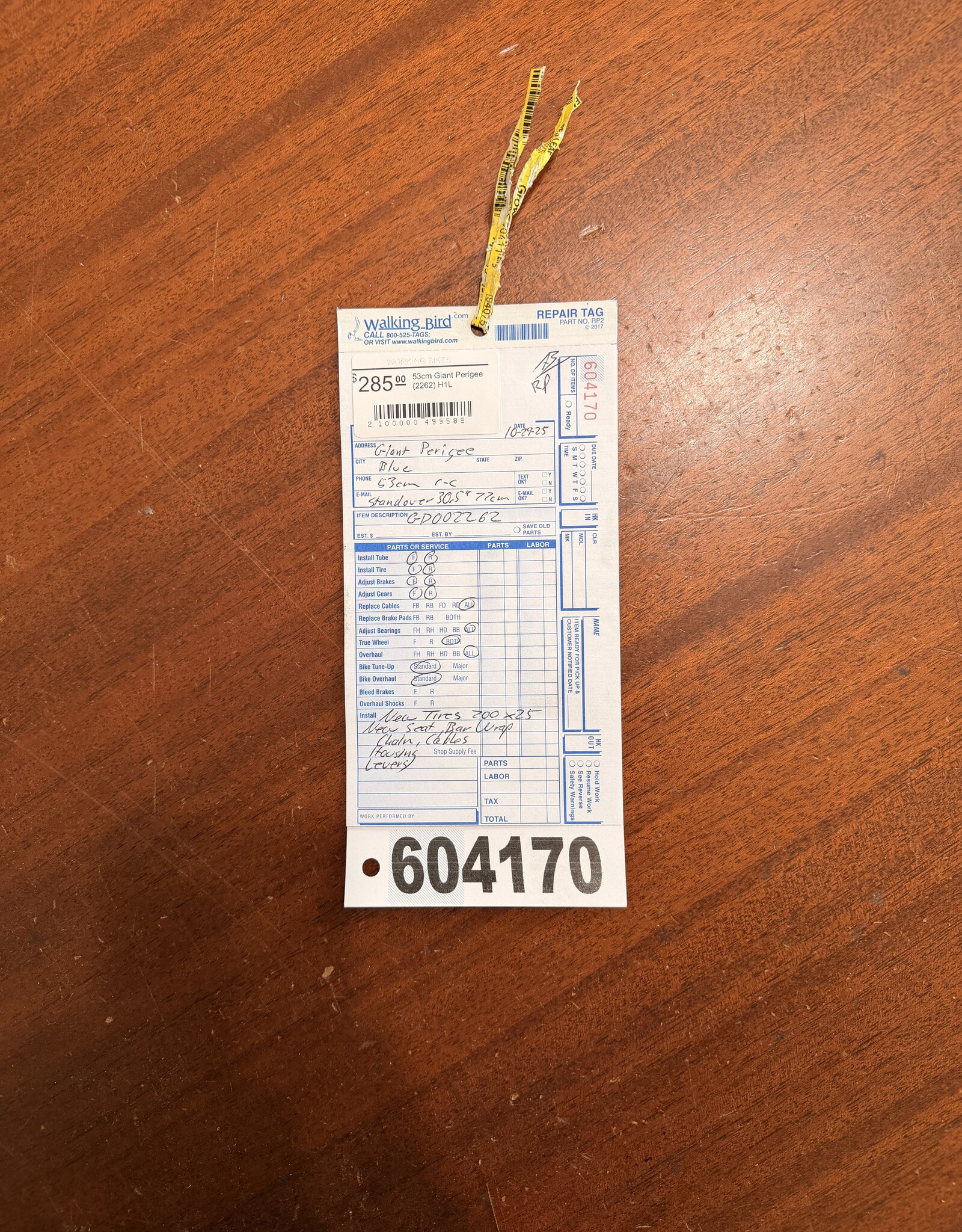 53cm Giant Perigee (2262) H1L