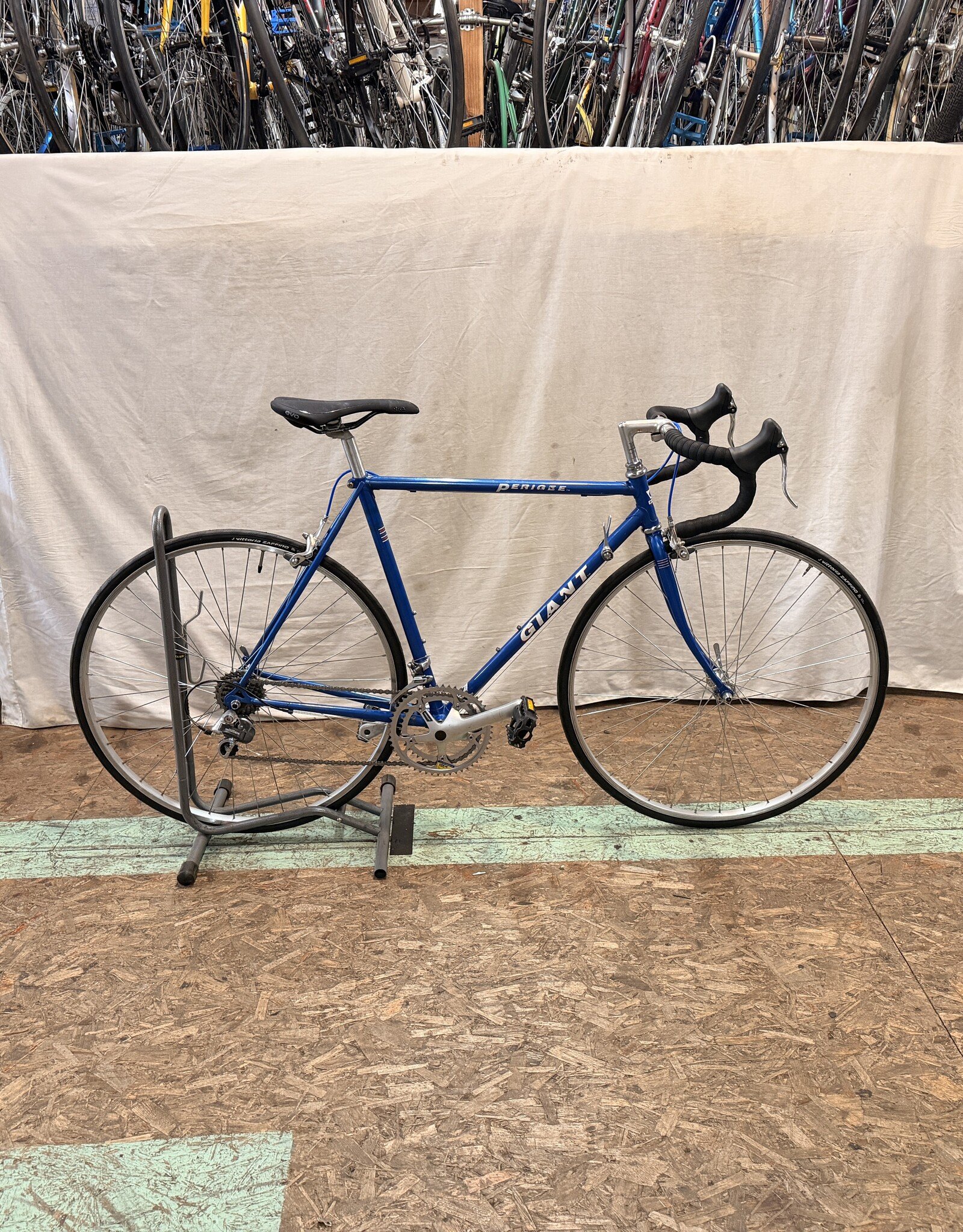 53cm Giant Perigee (2262) H1L