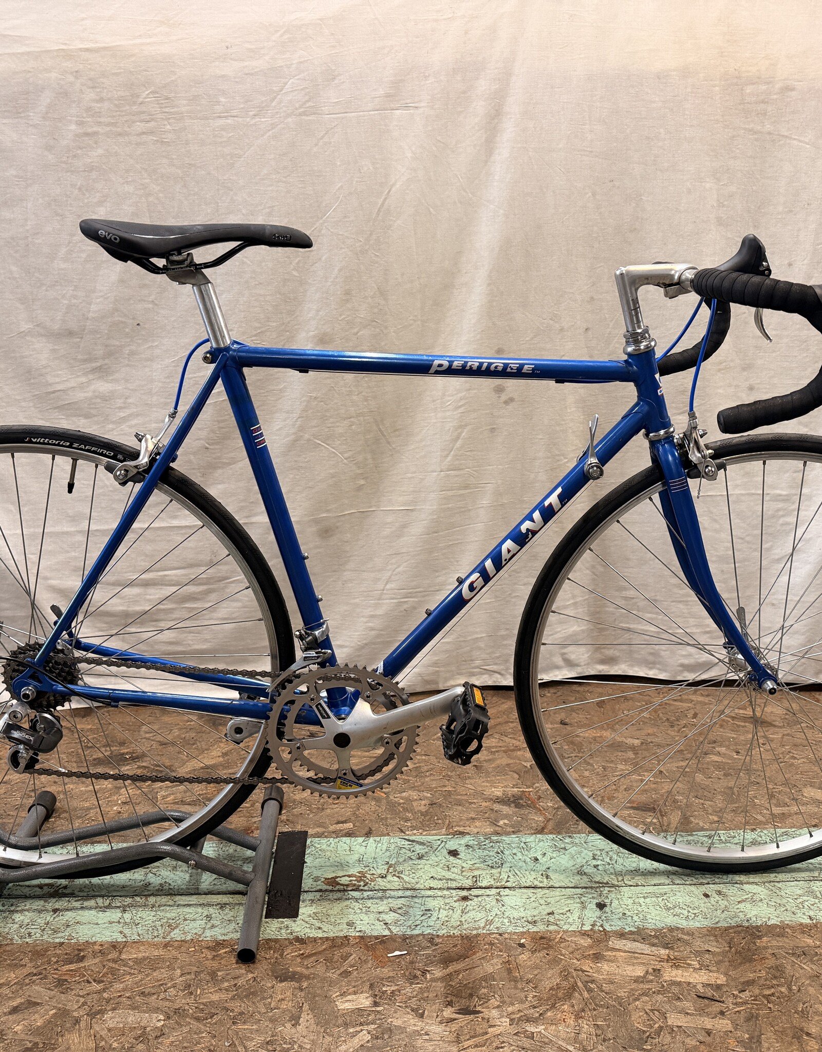 53cm Giant Perigee (2262) H1L