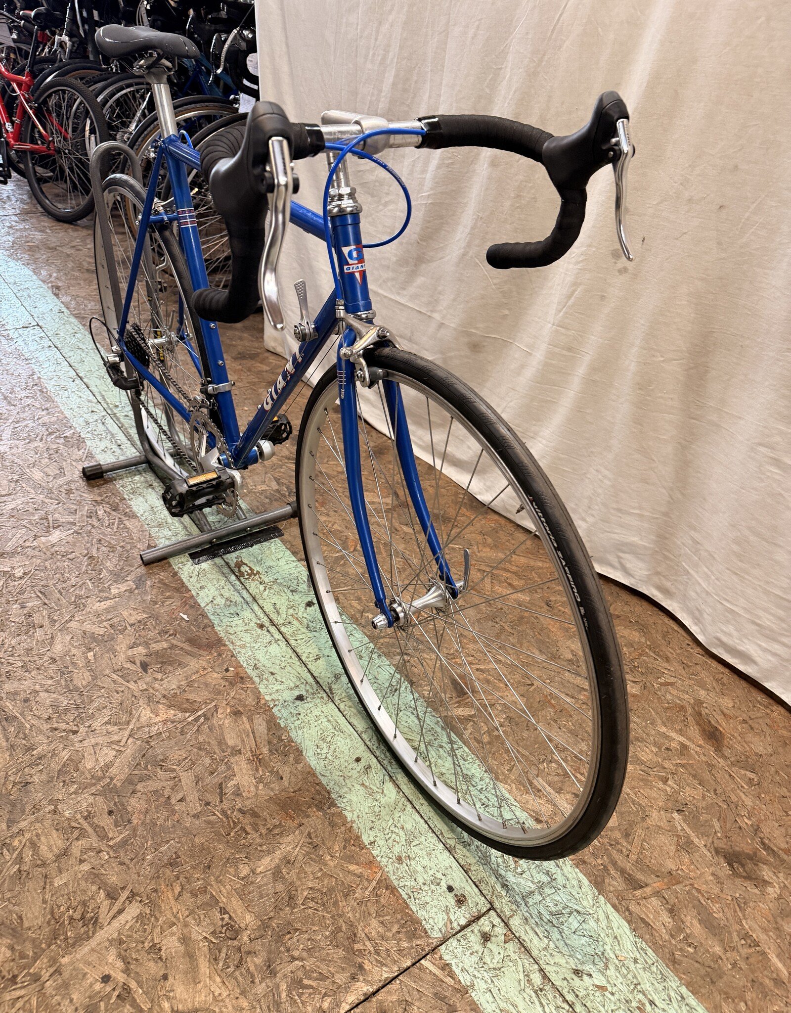 53cm Giant Perigee (2262) H1L