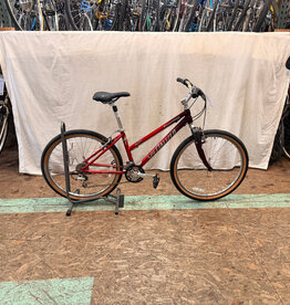 15.5 in Specialized Expedition (0640) H1U