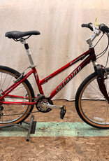 15.5" Specialized Expedition (0640) H1U