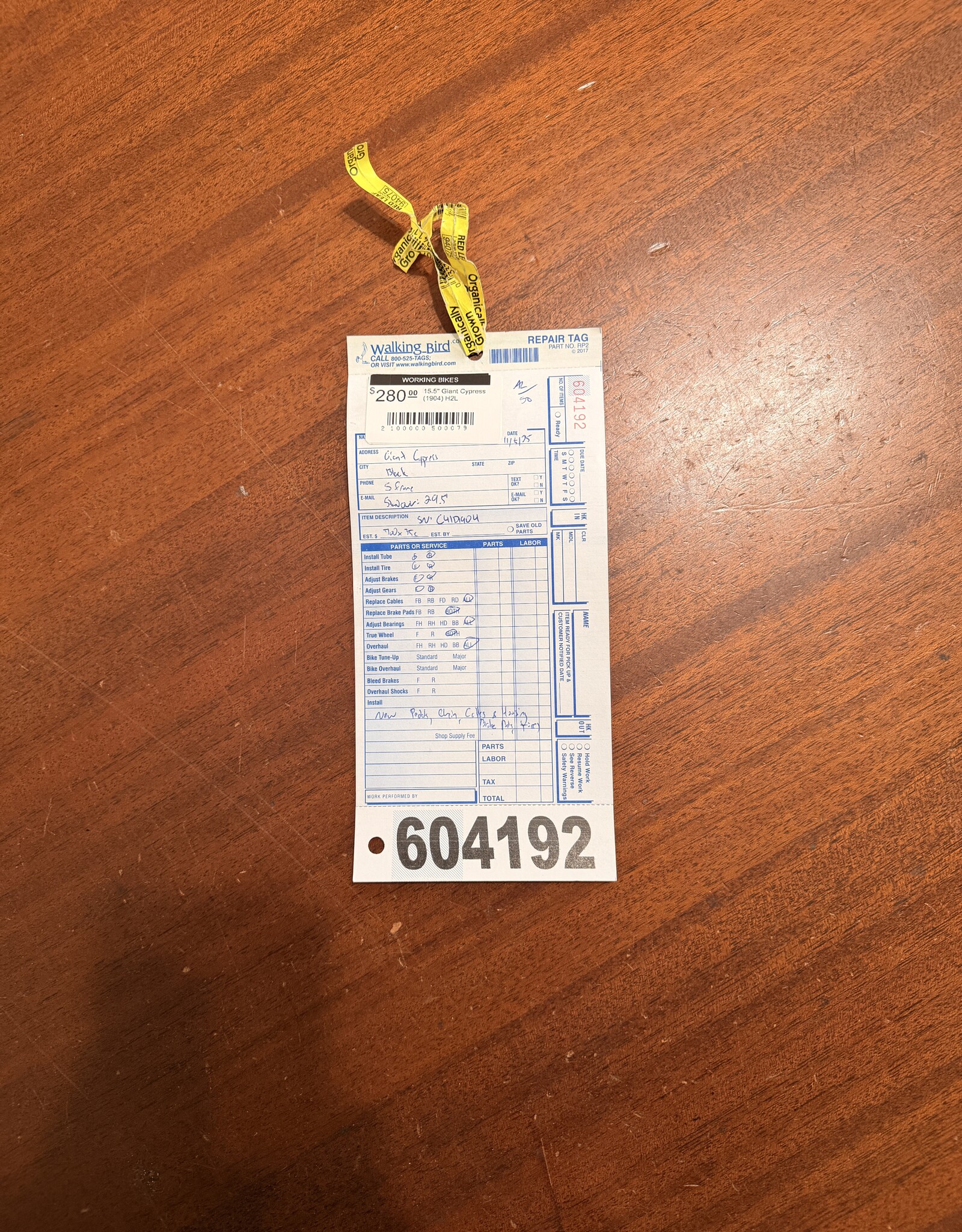 15.5" Giant Cypress (1904) H2L