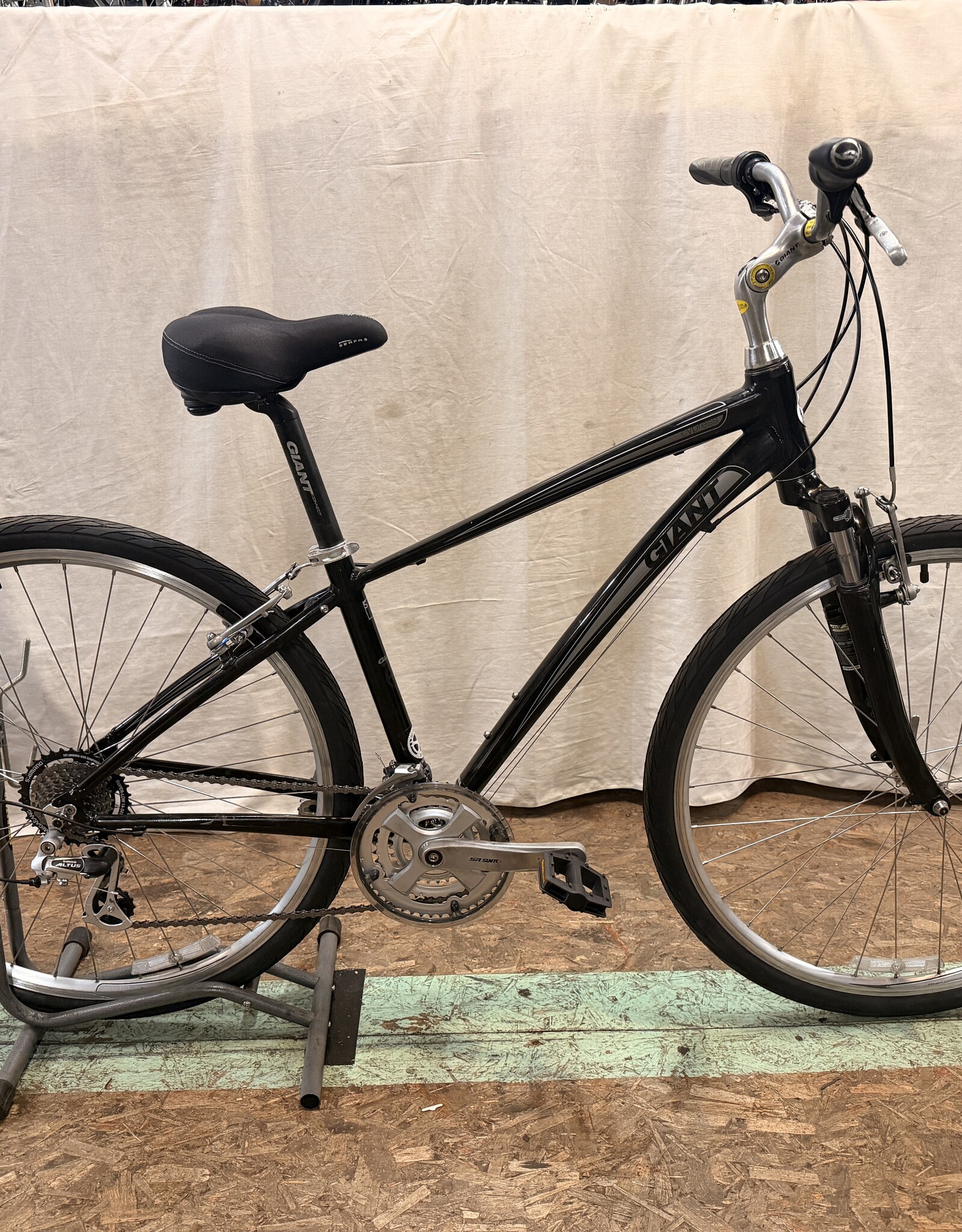 15.5" Giant Cypress (1904) H2L