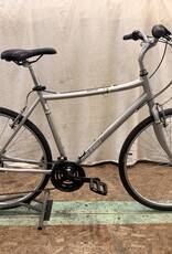 Raleigh 21.5" Raleigh Detour (4728) H2L