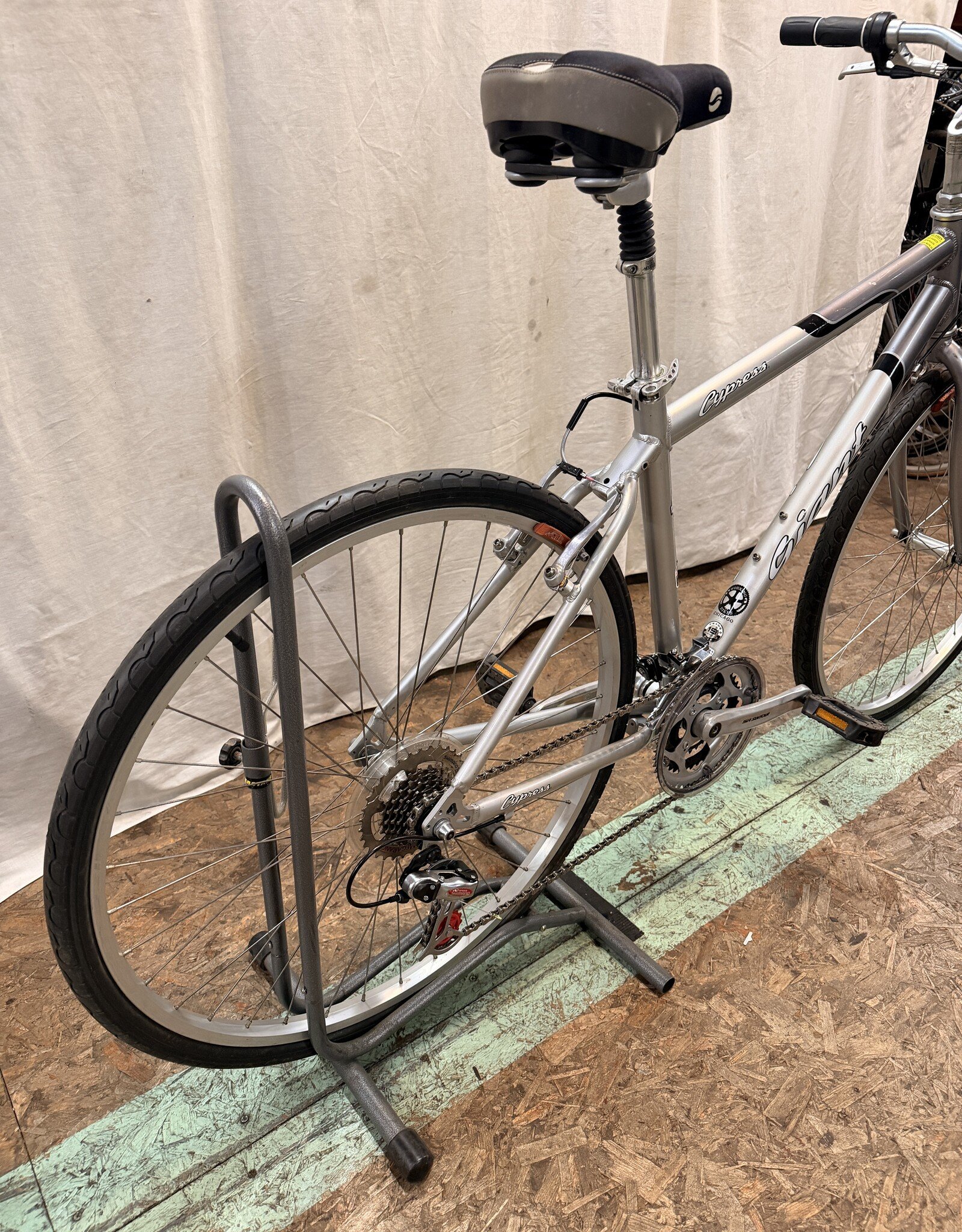 19" Giant Cypress (0427) H2L