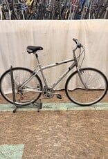 19" Giant Cypress (0427) H2L