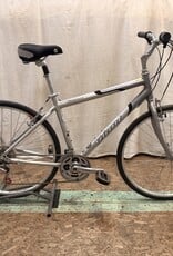 19" Giant Cypress (0427) H2L