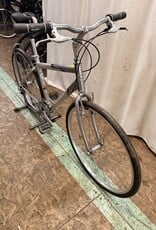 19" Giant Cypress (0427) H2L