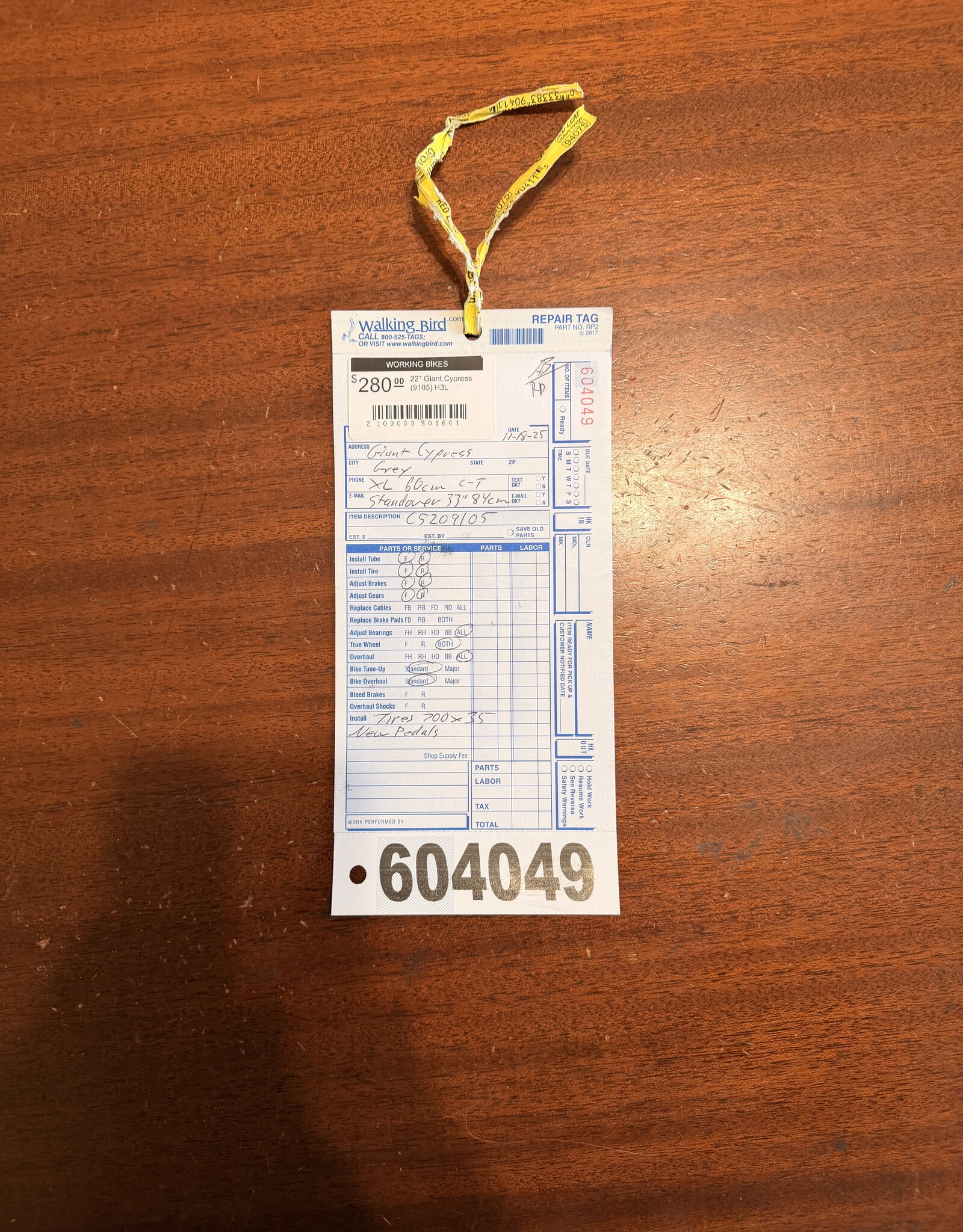 22" Giant Cypress (9105) H3L