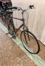 22" Giant Cypress (9105) H3L