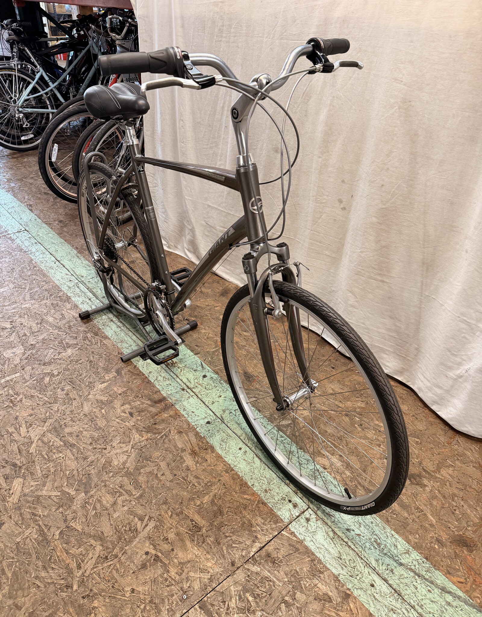 22" Giant Cypress (9105) H3L