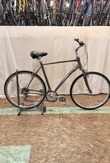 22" Giant Cypress (9105) H3L