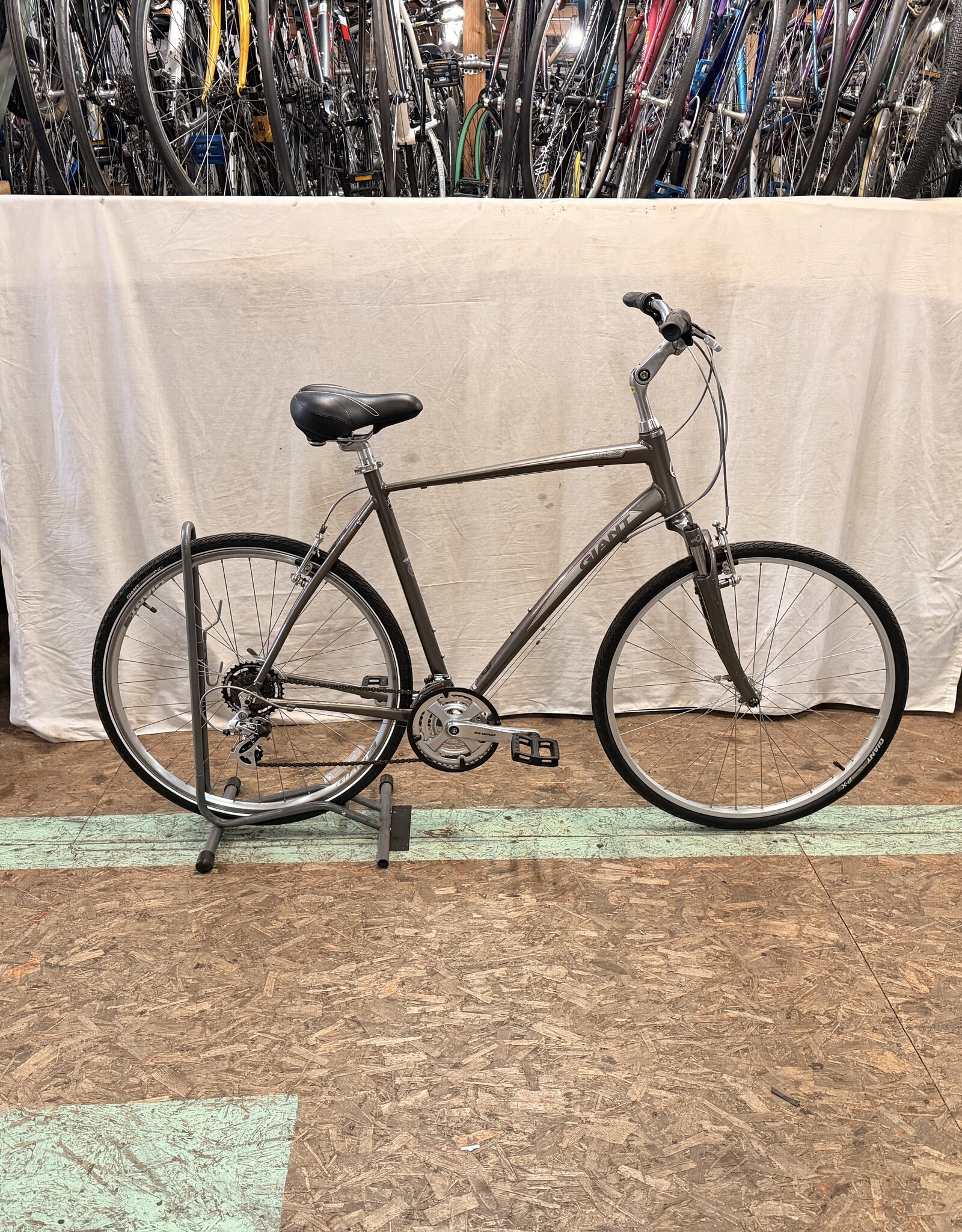 22" Giant Cypress (9105) H3L