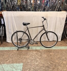 22" Giant Cypress (9105) H3L