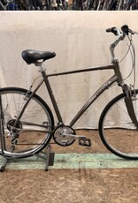 22" Giant Cypress (9105) H3L