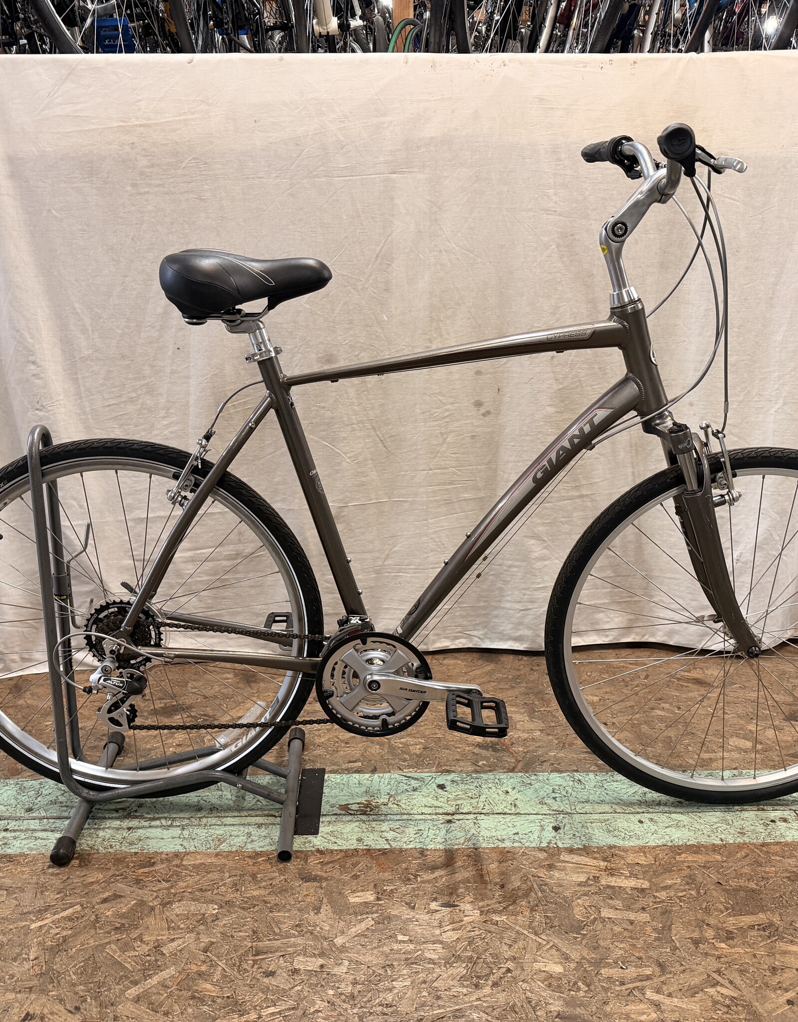 22" Giant Cypress (9105) H3L