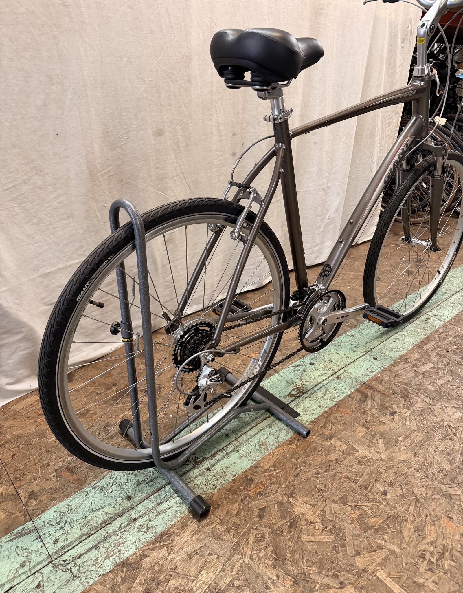 22" Giant Cypress (9105) H3L