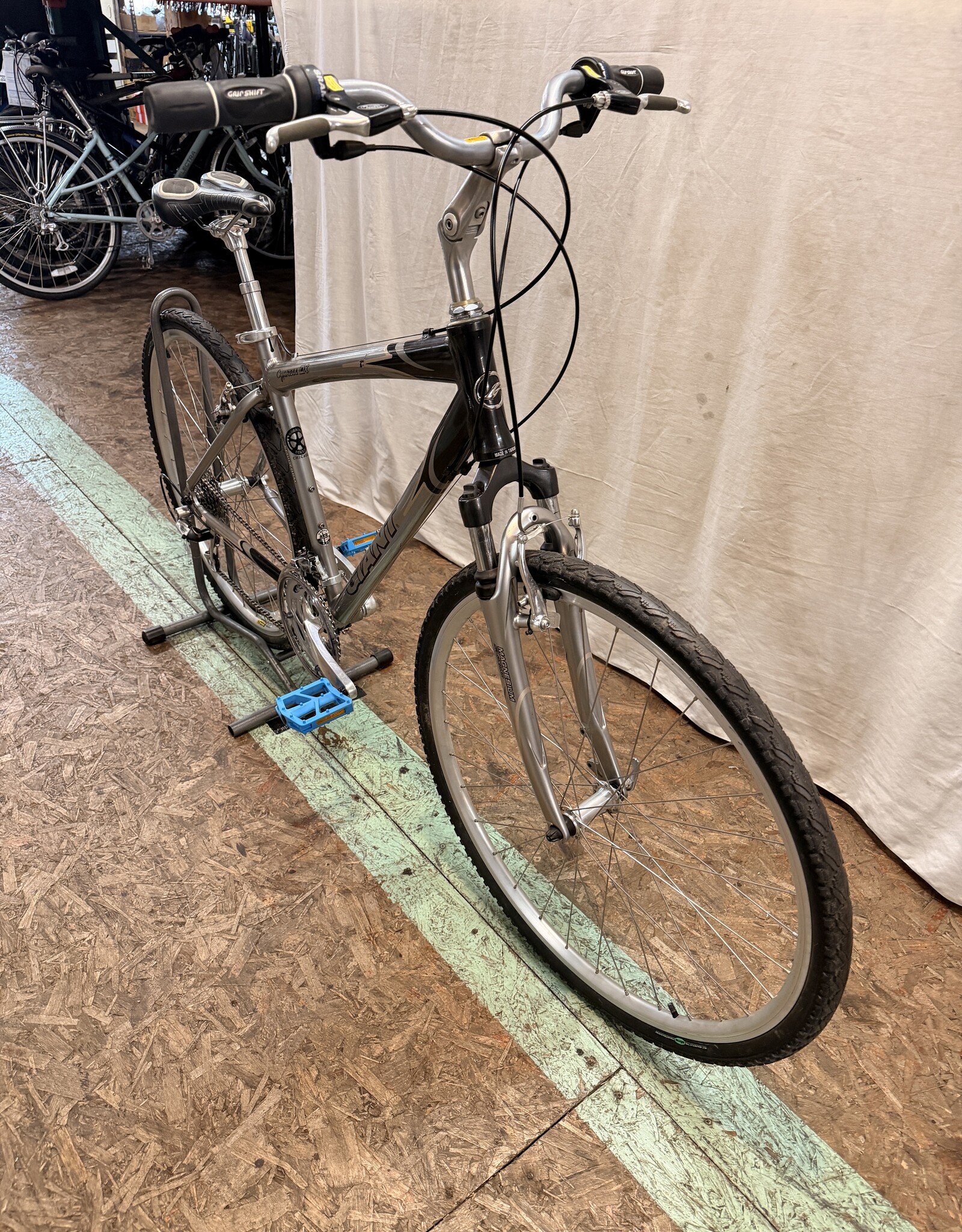 19" Giant Cypress DX (0291) H3L