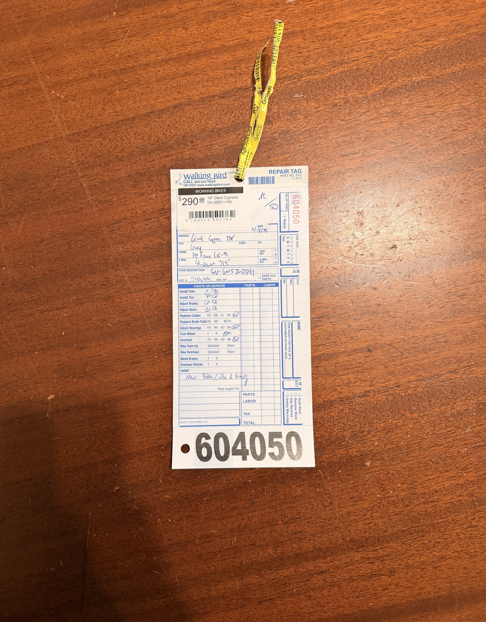 19" Giant Cypress DX (0291) H3L