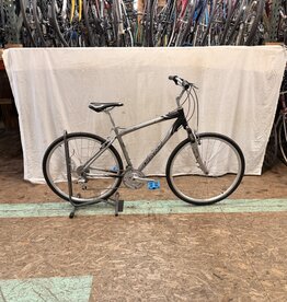 19" Giant Cypress DX (0291) H3L