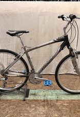 19" Giant Cypress DX (0291) H3L