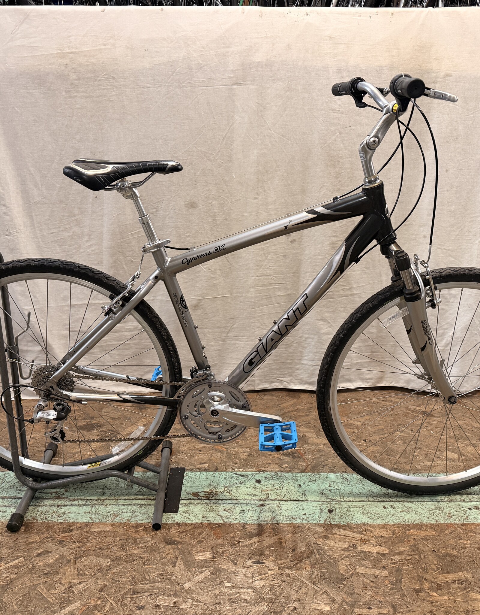 19" Giant Cypress DX (0291) H3L