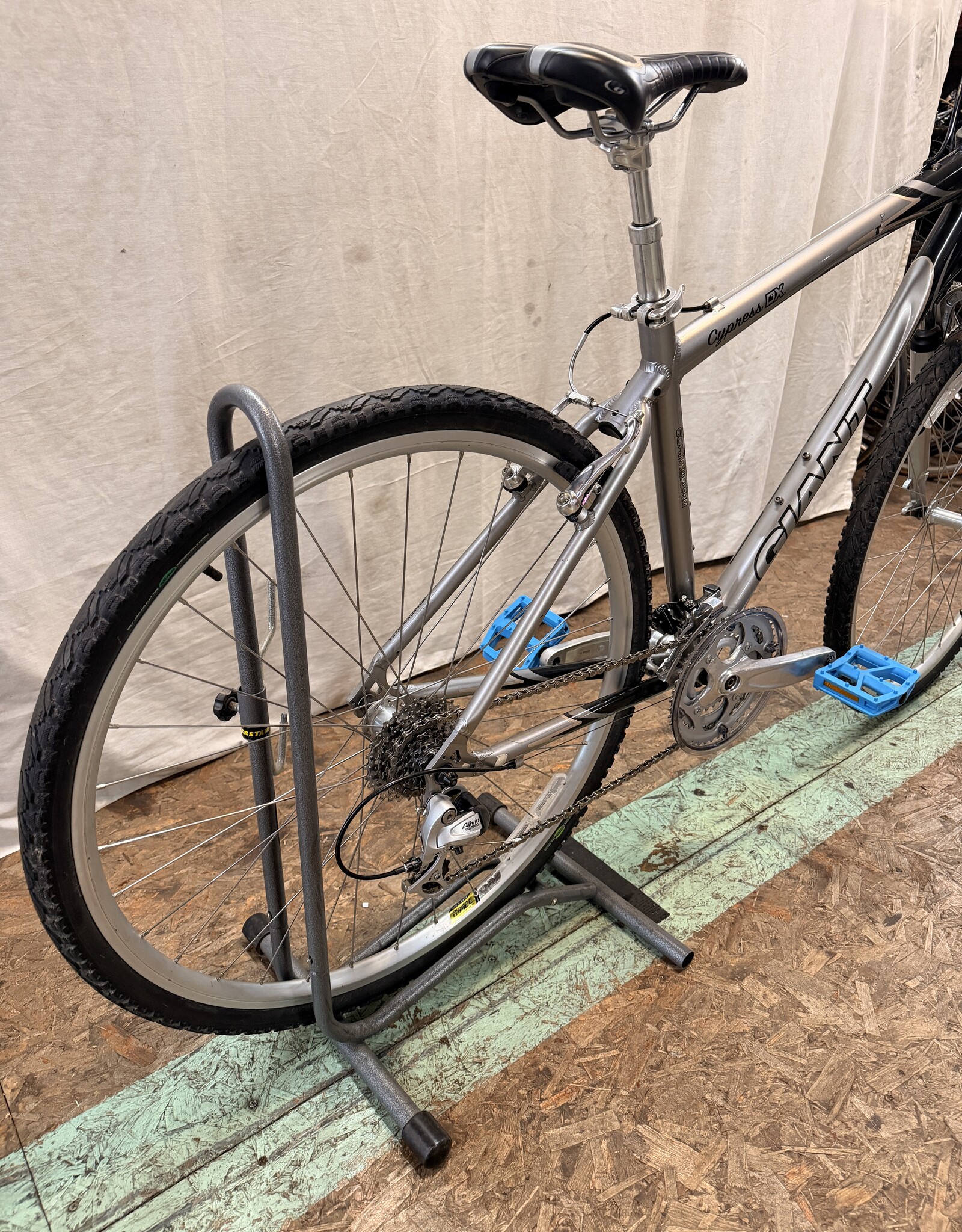 19" Giant Cypress DX (0291) H3L