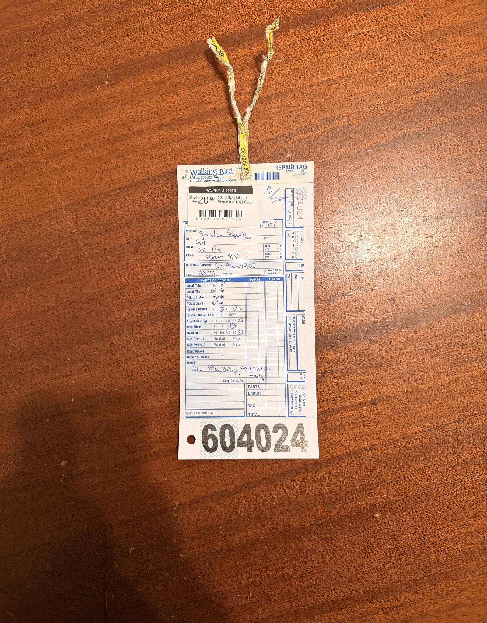 56cm Specialized Sequoia (0102) C5U