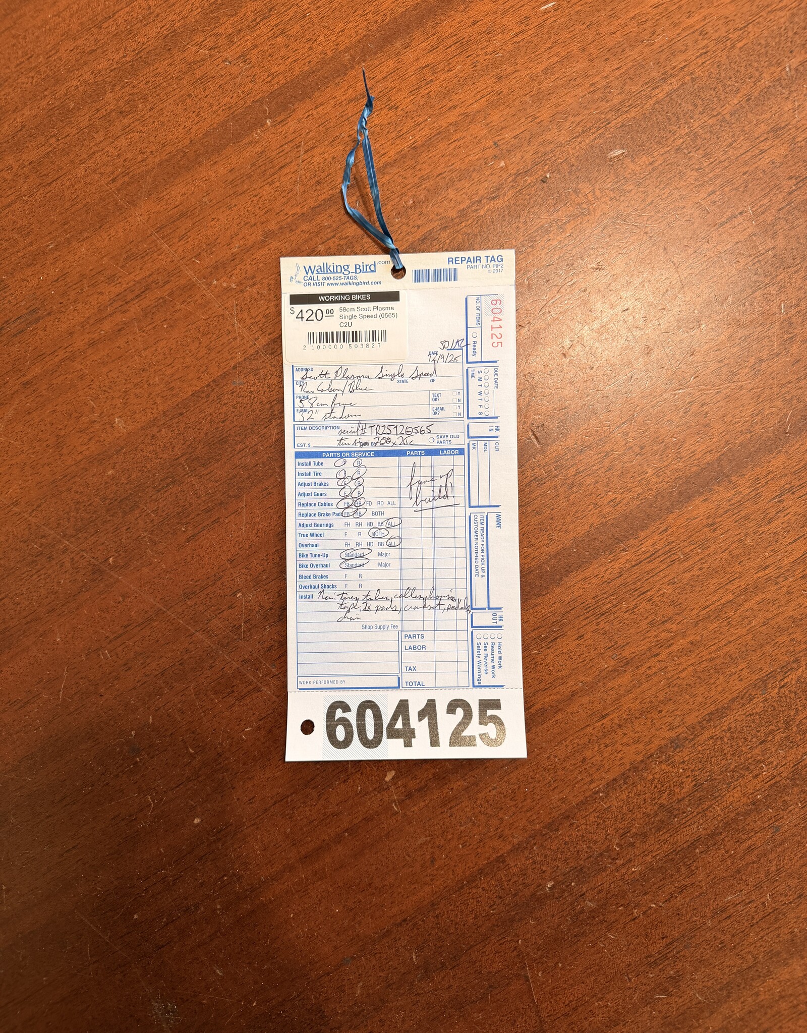 Scott 58cm Scott Plasma Single Speed (0565) C2U