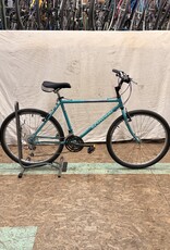17.5" Schwinn Woodlands (2532) I4U