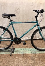 17.5" Schwinn Woodlands (2532) I4U