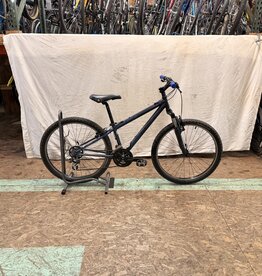 13" Trek 820 (115C) E2U