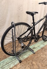 16" Giant Cypresss (0014) I4U