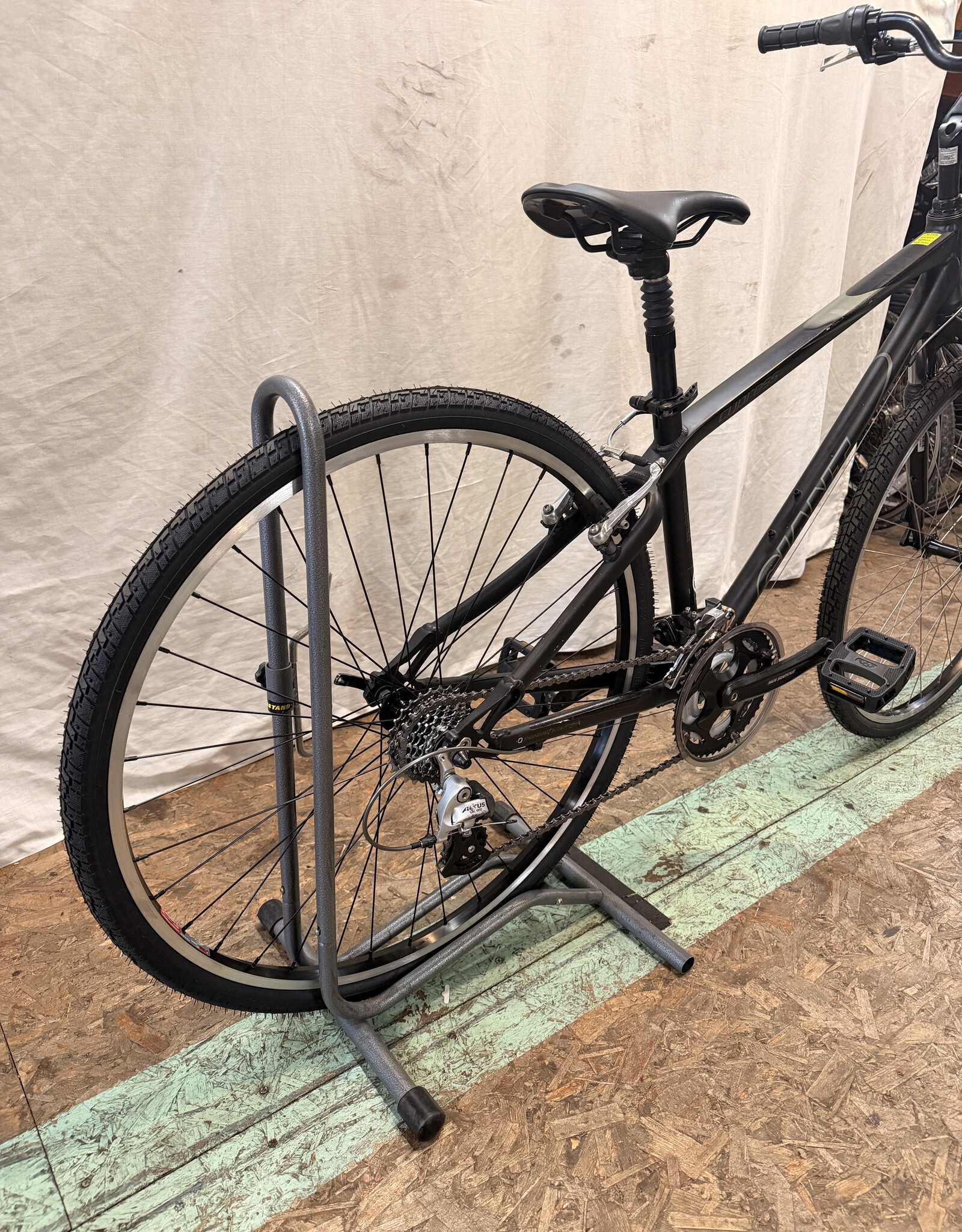 16" Giant Cypresss (0014) I4U