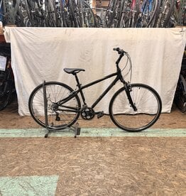 16" Giant Cypresss (0014) I4U